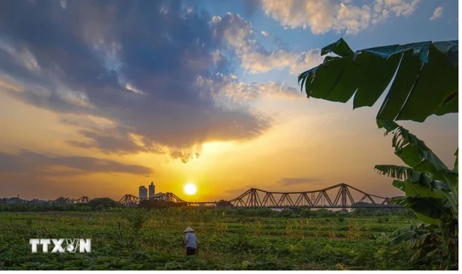 A corner of the mudflats in the middle of the Red River (Photo: VNA)