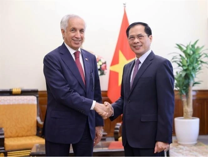 El canciller vietnamita, Bui Thanh Son, y el ministro de Estado para Asuntos Exteriores de Qatar, Soltan bin Saad Al-Muraikhi. (Fuente: VNA)