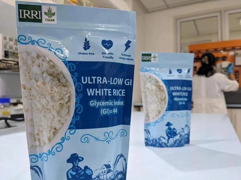  Filipinas desarrolla nueva variedad de arroz para combatir diabetes. (Fuente: irri.org)