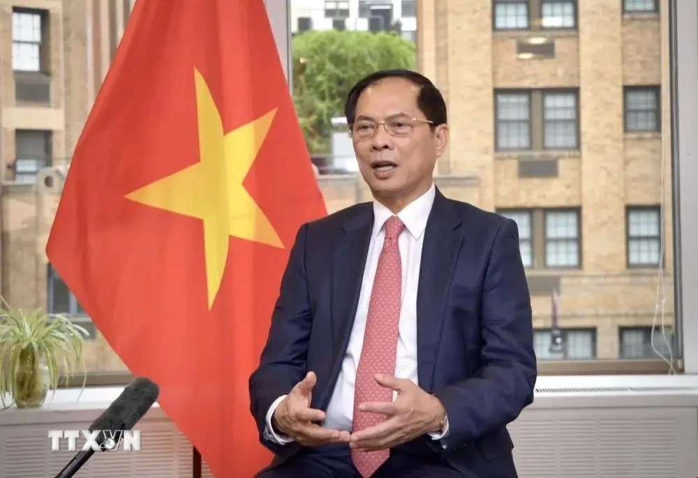 El viceprimer ministro y ministro de Relaciones Exteriores Bui Thanh Son. (Fuente: VNA)