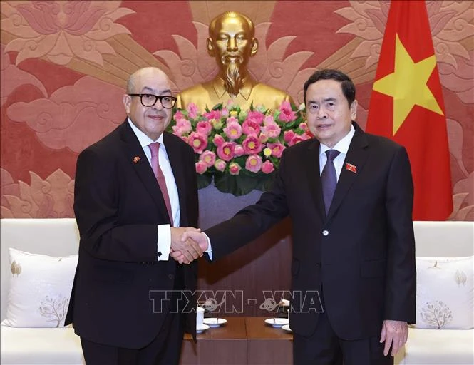 越南国会主席陈青敏（右）会见摩洛哥众议院秘书长纳吉布·哈迪。图自越通社