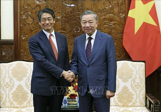越南国家主席苏林会见日本新任驻越大使伊藤直树。图自越通社
