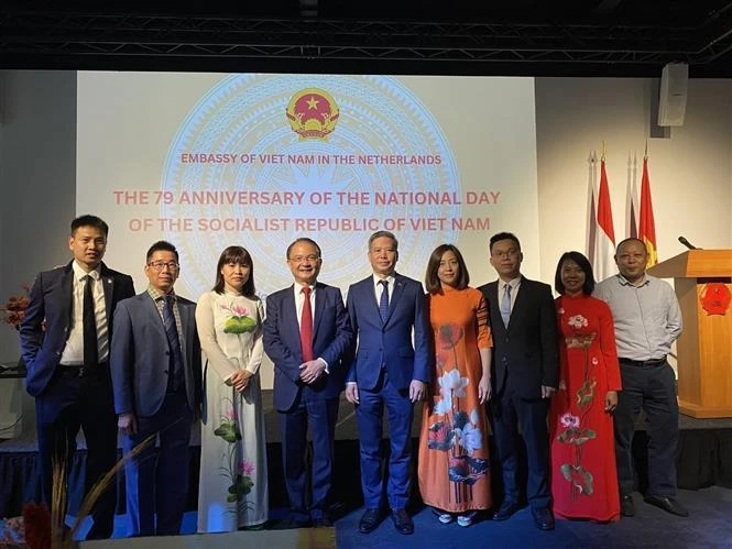 L'ambassadeur Ngo Huong Nam et des cadres de l'ambassade du Vietnam aux Pays-Bas lors de la cérémonie. Photo : VNA