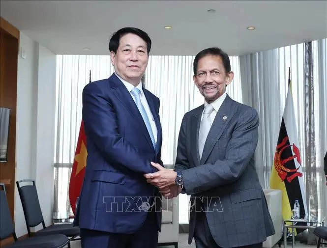 Le président Luong Cuong (gauche) et le sultan de Brunei, Hassanal Bolkiah. Photo: VNA