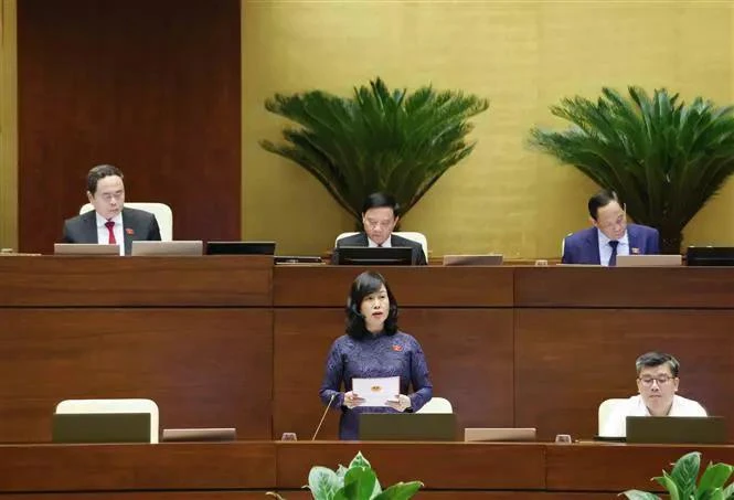 Minister of Health Dao Hong Lan speaks at the hearing of the 15th National Assembly’s eighth session in Hanoi on November 11. (Photo: VNA)