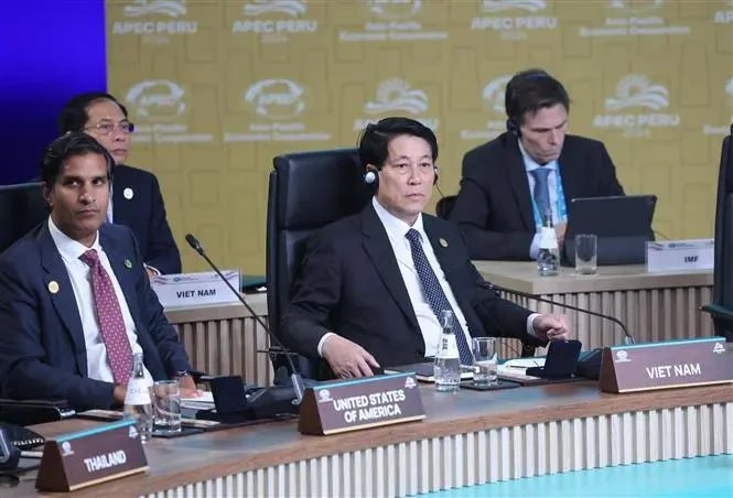 Vietnamese State President Luong Cuong at the 31st APEC Economic Leaders' Meeting in Lima, Peru. (Photo: VNA)