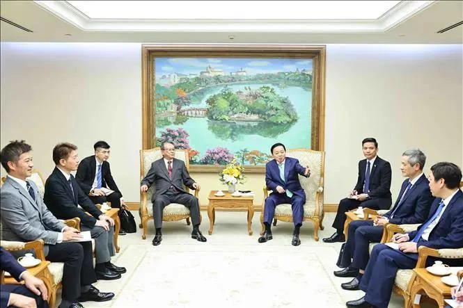 Deputy Prime Minister Tran Hong Ha receives the Japanese delegation. (Photo: VNA)