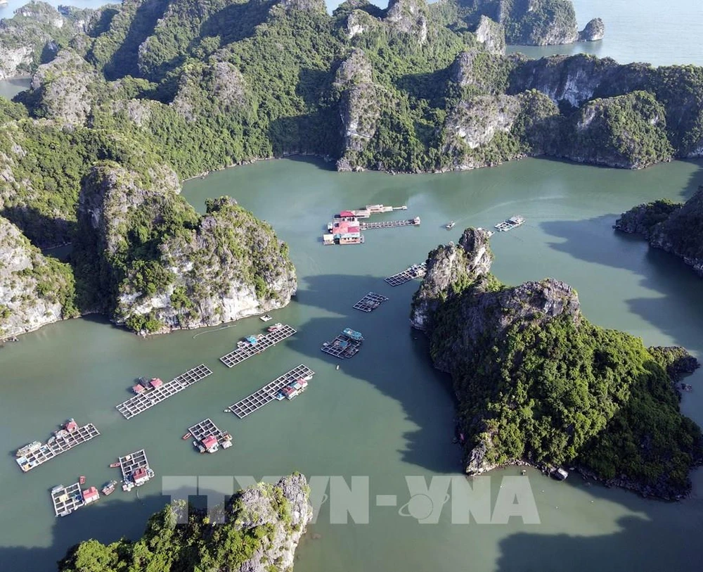 翁望渔村是越南广宁省下龙湾上的一个小渔村，深受国际游客喜爱。图自越通社