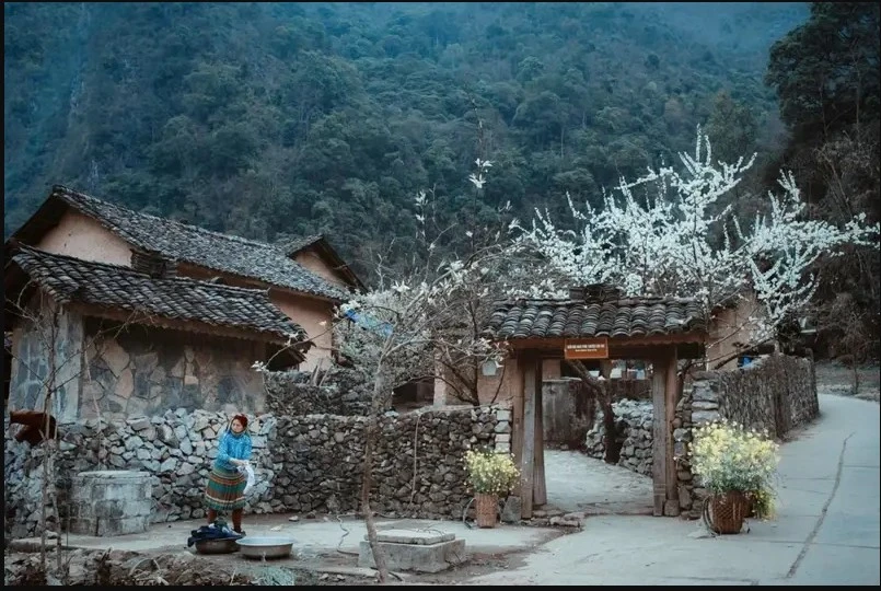 The house set in the movie "Pao's Story" attracts many tourists. (Photo VNA)