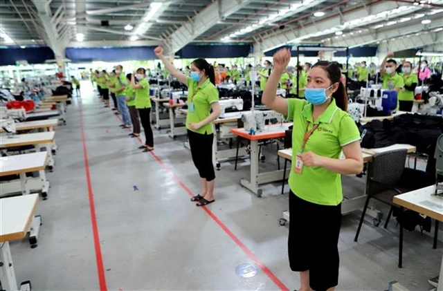 Workers take a break to exercise during a shift at a textile company in the northern province of Thai Binh. (Photo: VNA) 