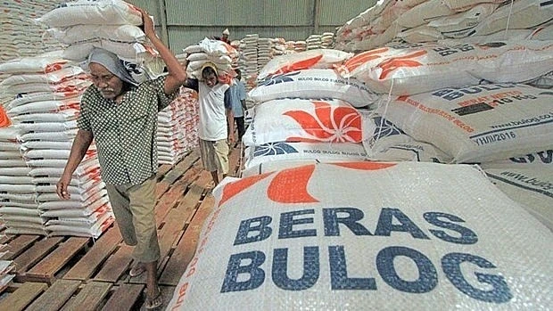 Indonesia to prioritise domestic rice (Photo: en.antaranews.com)