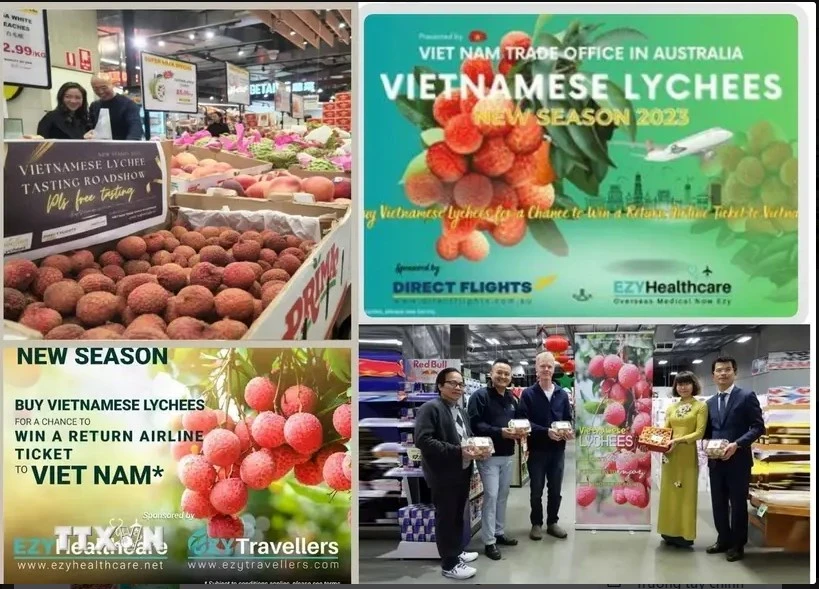 Vietnamese lychee sold well at Costco stores in Australia (Photo: VNA)