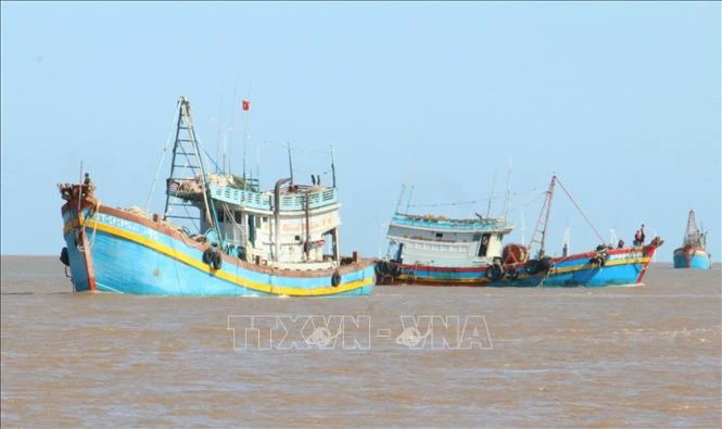 Ben Tre strives to meet fishing vessel registration requirements (Photo: VNA)