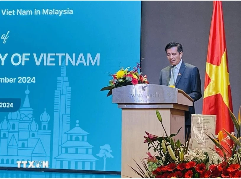 Vietnamese ambassador to Malaysia Dinh Ngoc Linh (Photo: VNA)