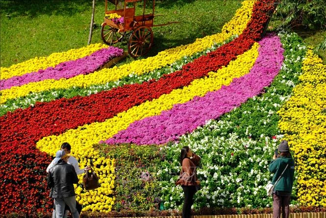 The Da Lat Flower Festival to bloom in December (Photo: VNA)