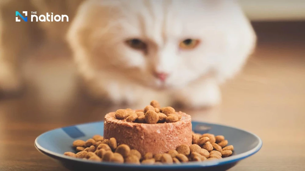 Thailand remains the world's fourth biggest exporter of pet food (Photo: nationthailand.com)