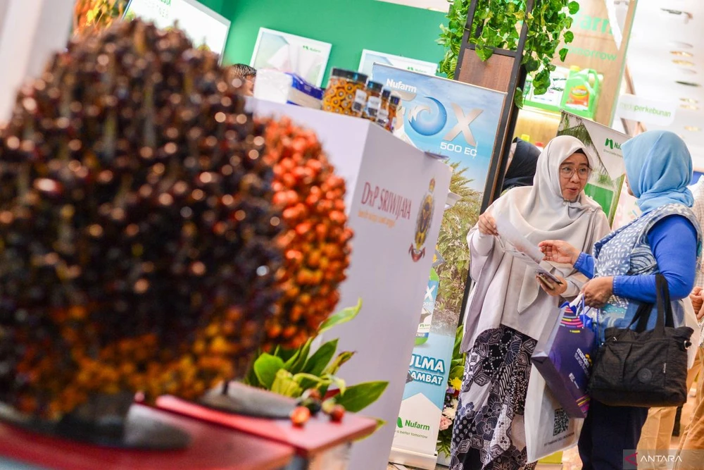 The Indonesian government reveals investment strategy for 8% growth. (Photo: antaranews.com)