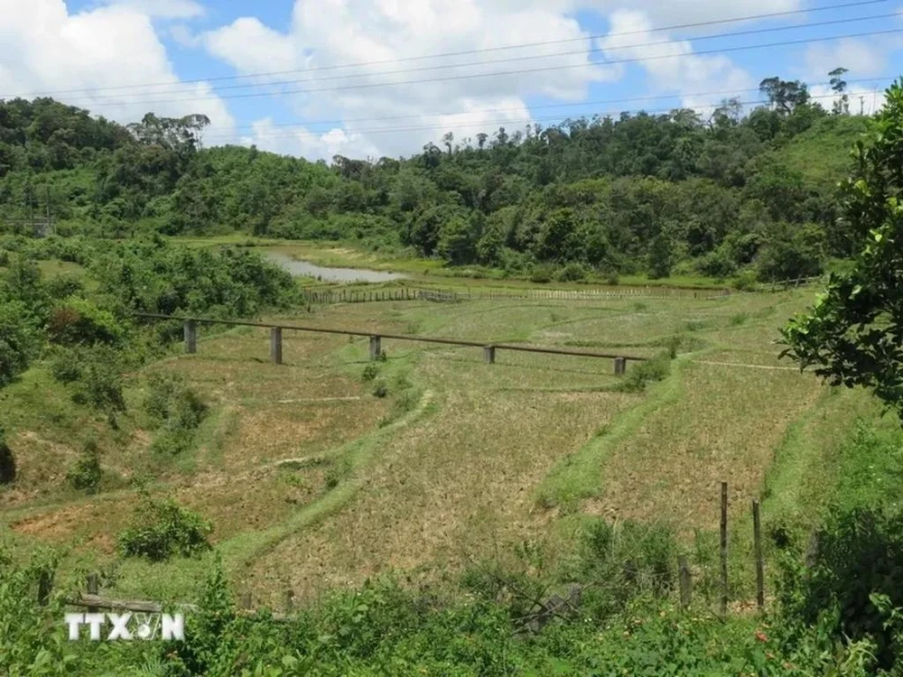 In Kon Plong district in the Central Highlands province of Kon Tum (Photo: VNA)