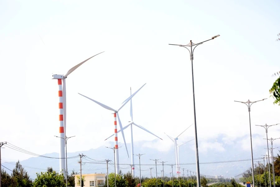 Le parc éolien de la société Phong Dien Phuong Mai, situé près de la zone touristique de Ky Co -Eo Gio. Photo: Vietnamplus