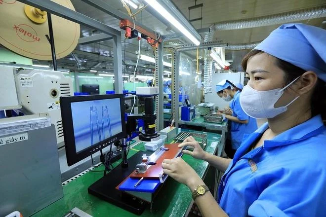 Les entreprises investissent dans la technologie pour mieux répondre aux exigences des importateurs. Photo : VietnamPlus