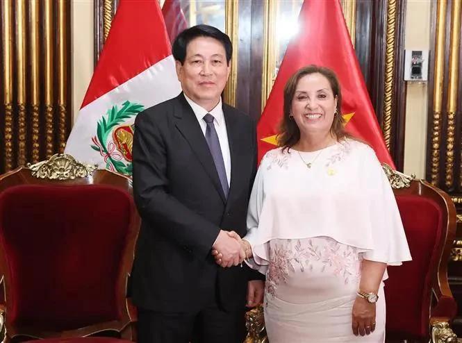 Le président vietnamien Luong Cuong et son homologue péruvienne Dina Ercilia Boluarte Zegarra. Photo: VNA