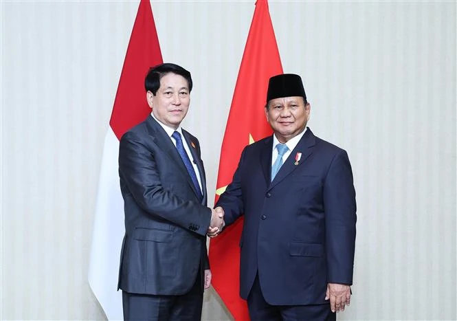 Le président Luong Cuong (gauche) et son homologue indonésien, Prabowo Subianto. Photo: VNA