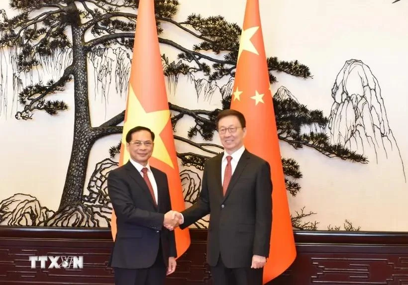 Le vice-Premier ministre et ministre des Affaires étrangères Bui Thanh Son (gauche) et le vice-président chinois Han Zheng. Photo: VNA