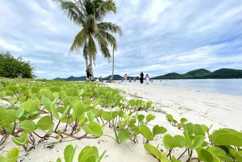 Koh Yao Yai, Phang Nga (Foto: https://www.bangkokpost.com/) 