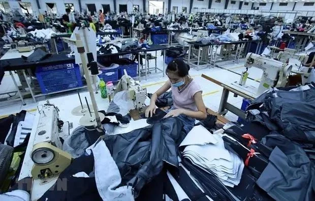 La producción de prendas de vestir en Vietnam para la exportación (Fuente: VNA)