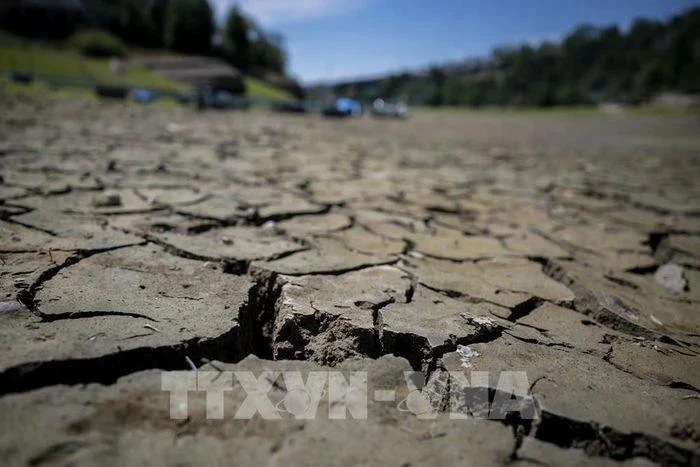 Foto ilustrativa (Fuente: AFP/VNA)