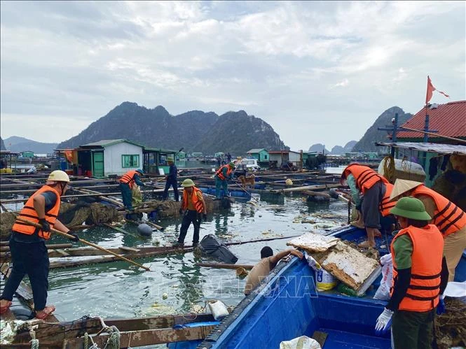 El distrito de Van Don y la ciudad de Cam Pha convocan varias fuerzas para limpieza de la bahía de Bai Tu Long (Fuente: VNA)