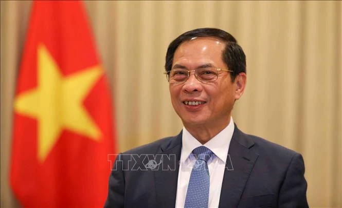 El vicepremier y canciller de Vietnam, Bui Thanh Son (Fuente: VNA)