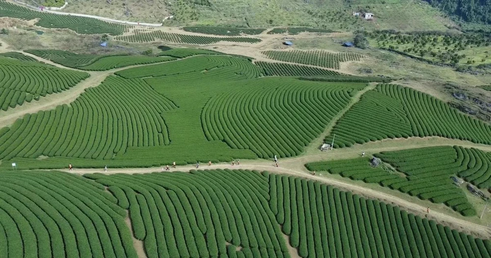 Un rincón de la Zona Turística Nacional de Moc Chau (Fuente: VNA)