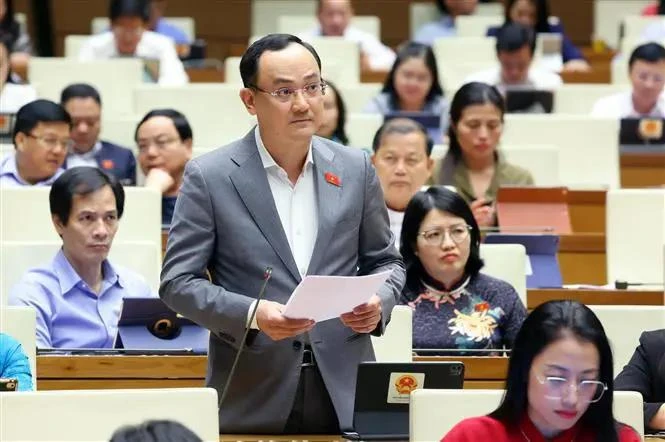 El diputado de la provincia de Hai Duong, Nguyen Ngoc Son (Fuente: VNA)