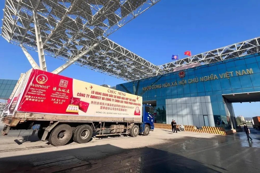 El primer lote de nidos de golondrina exportado a China a través del cruce fronterizo en Quang Ninh (Fuente: VNA)