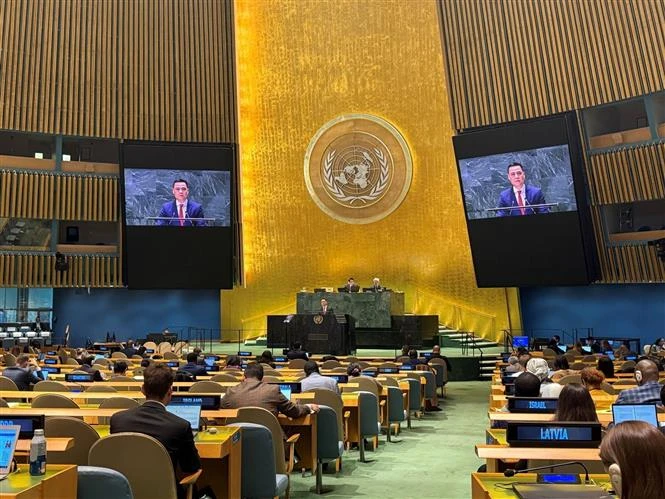 El embajador Dang Hoang Giang pronuncia su discurso en la sesión de debate. (Fuente: VNA) 