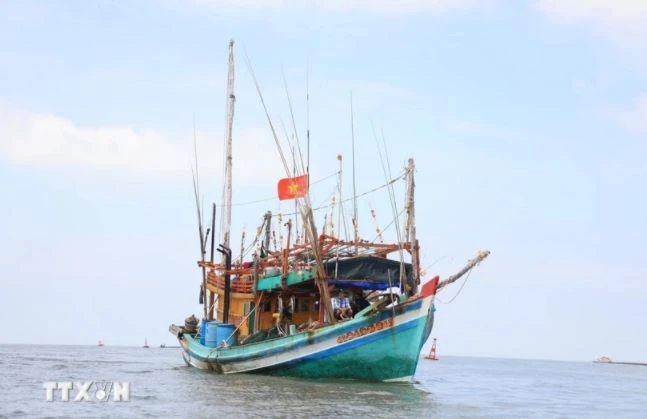 Ca Mau province is stepping up measures to fight against IUU fishing. (Photo: VNA)