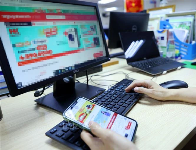 E-commerce has helped Vietnamese goods reach out to the world. (Photo: VNA)