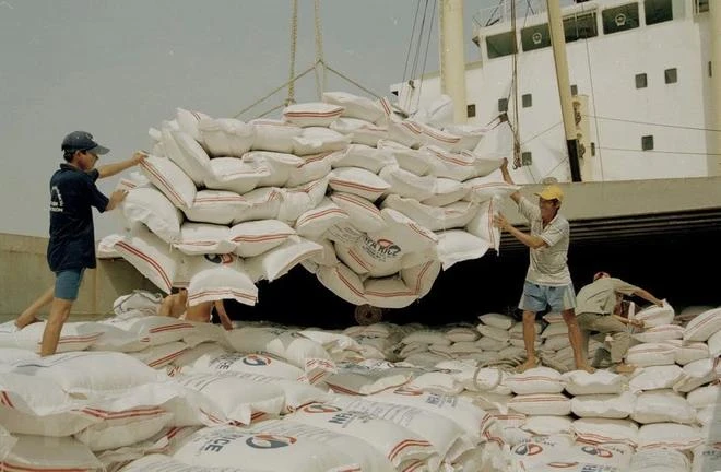 Israel has high demand for Vietnamese rice. (Photo: VNA)