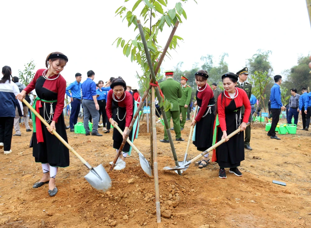 The “planting a billion trees for 2021-2025” project receives enthusiastic response from local residents. (Photo: VNA)