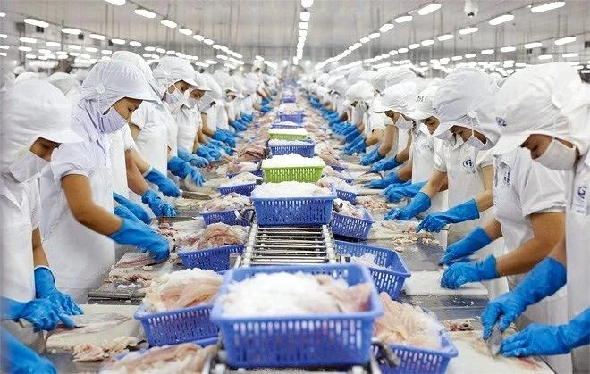 Both import and export are on good growth. (Photo: VietnamPlus)