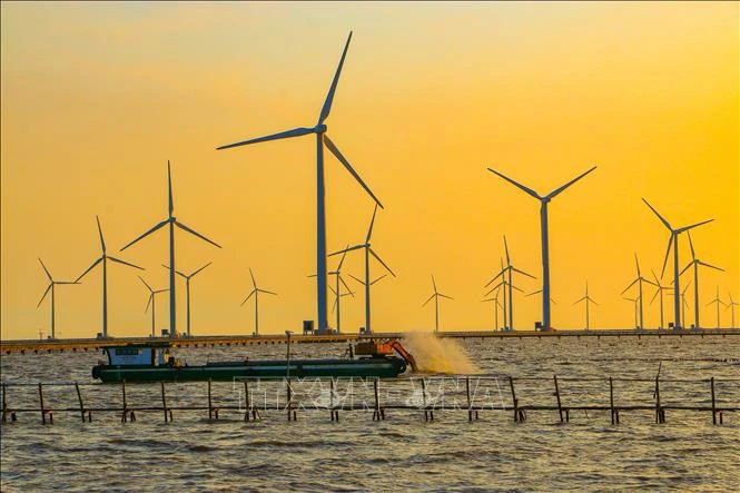 SOEs are proposed to develop offshore wind power projects. (Photo: VNA)