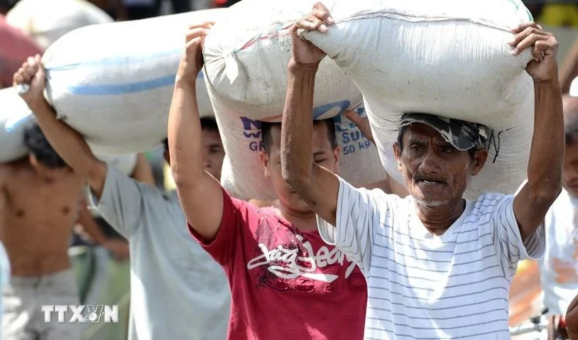 The Philippines is expected to import more rice in 2024 and the next year. (Photo: AFP/VNA)