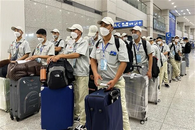 Vietnamese labourers arriving at Incheon Airport in the Republic of Korea (Photo: VNA) 