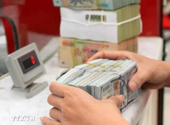 The daily reference exchange rate for the US dollar is set at 24,240 VND/USD on December 2. (Photo: VNA)