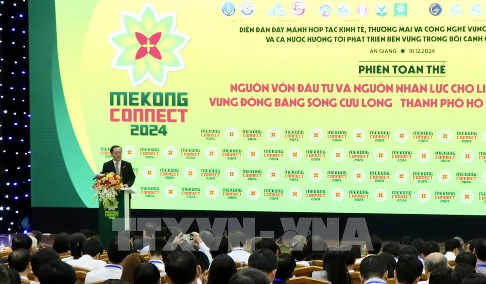 At the Mekong Connect 2024 (Photo: VNA)