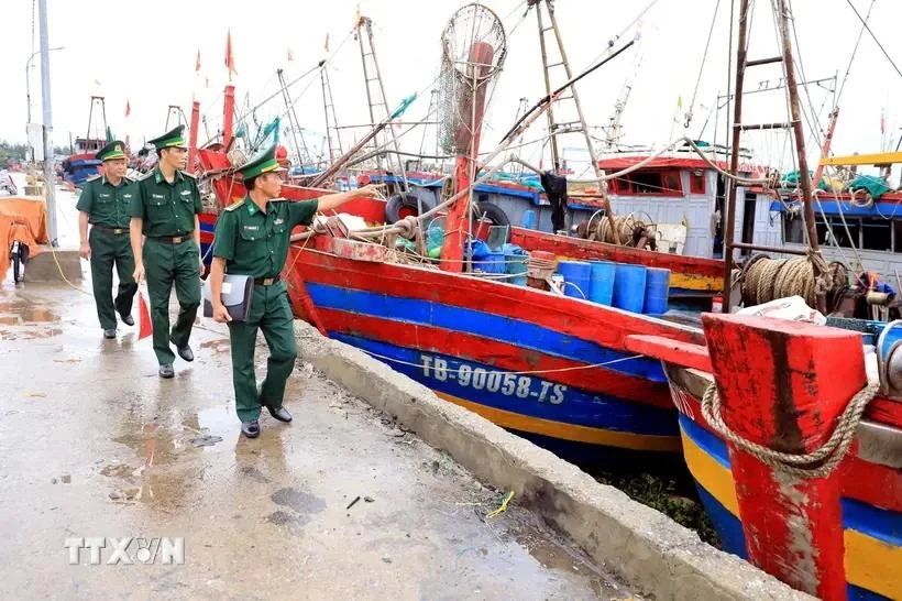 La fuerza fronteriza realiza inspección en el puerto pesquero de Tan Son, distrito de Thai Thuy, provincia de Thai Binh. (Fuente: VNA)