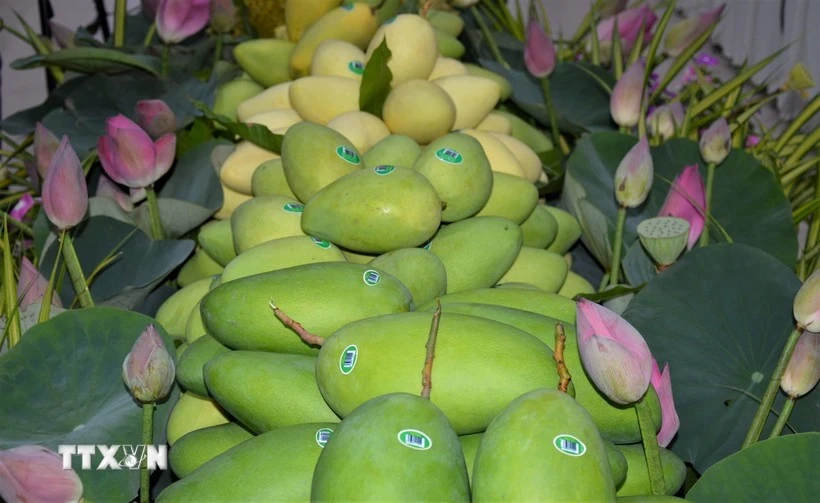 Вьетнамское манго. (Фото: ВИA)