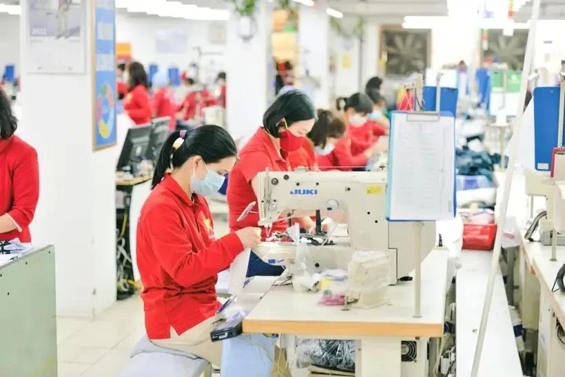 Эксперты рекомендуют компаниям максимально использовать потенциал рынков, с которыми Вьетнам подписал соглашения о свободной торговле (Фото: ВИA)