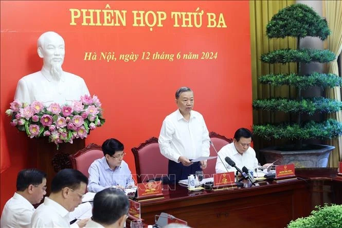 Президент То Лам выступает на заседании (Фото: ВИA)